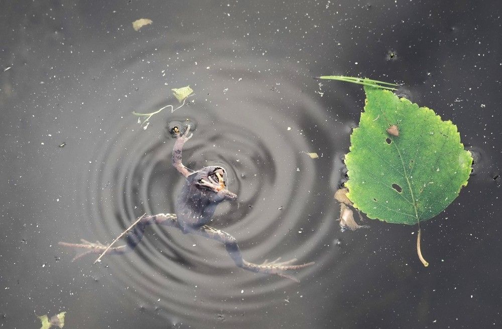 Photograph by Михаил Трусов