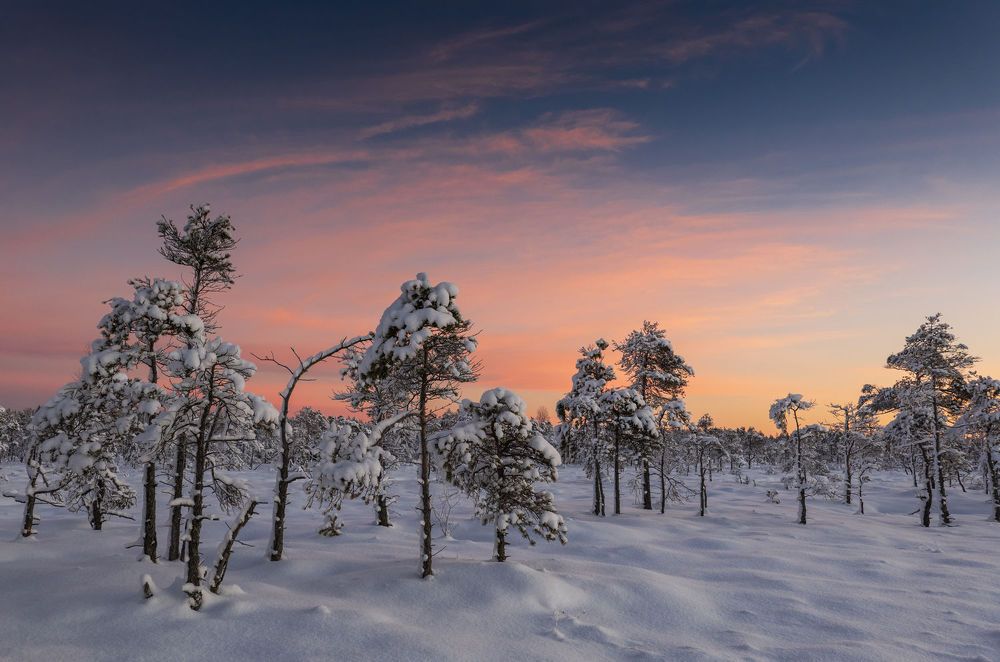 Photograph by Nikolay Gordon