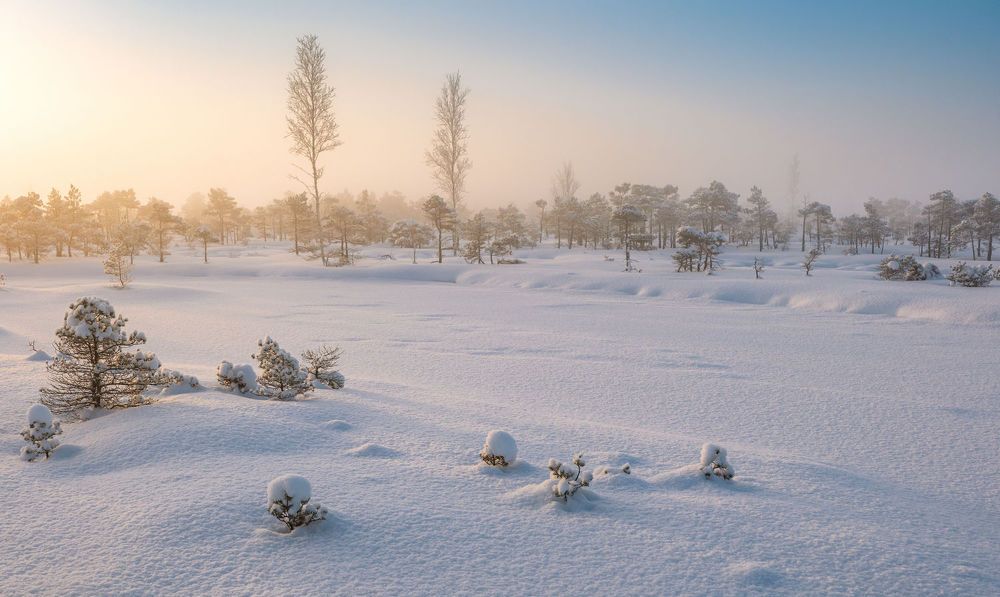 Photograph by Nikolay Gordon