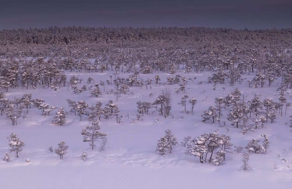 Photograph by Nikolay Gordon