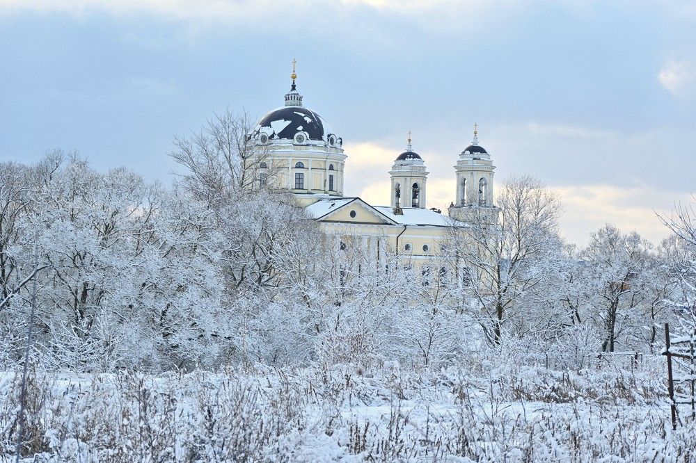 Фотография автора IRINA FILIPPOVA