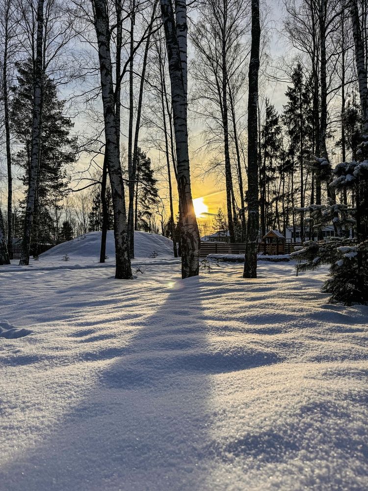 Photograph by Татьяна Зенина