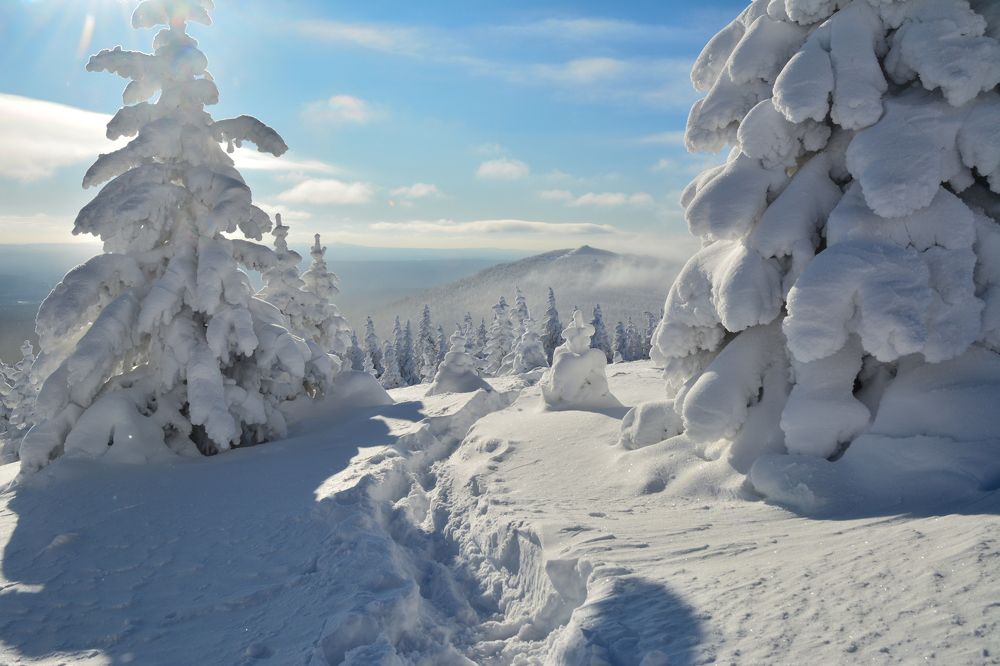 Сквозь снега
