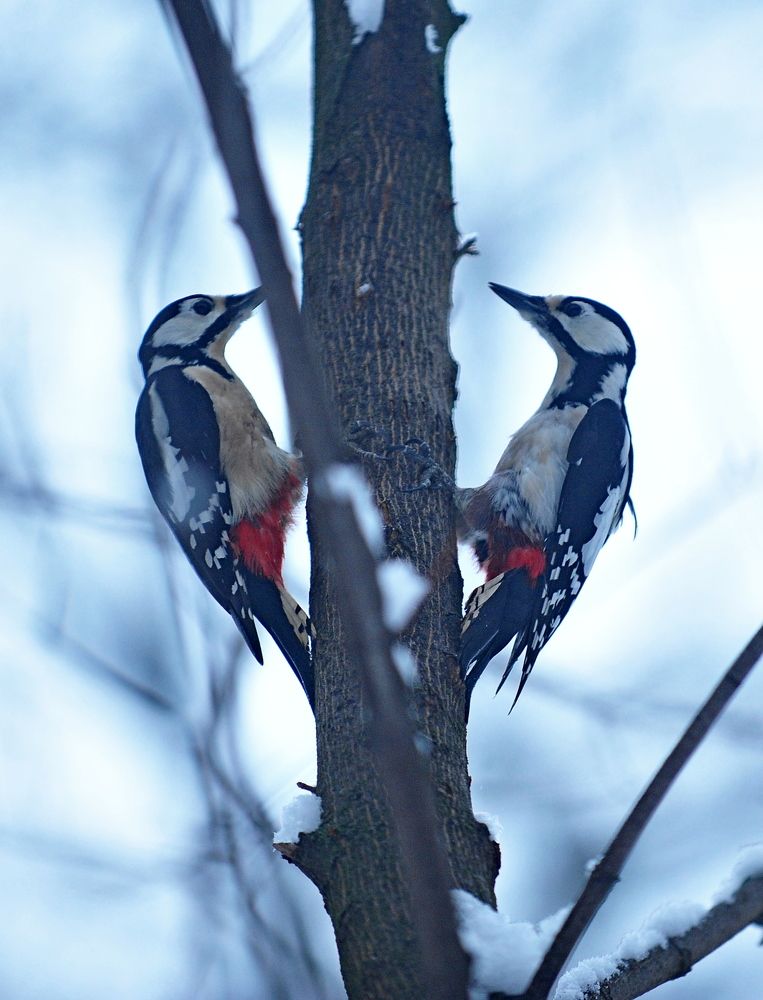 Photograph by Алексей Козлов