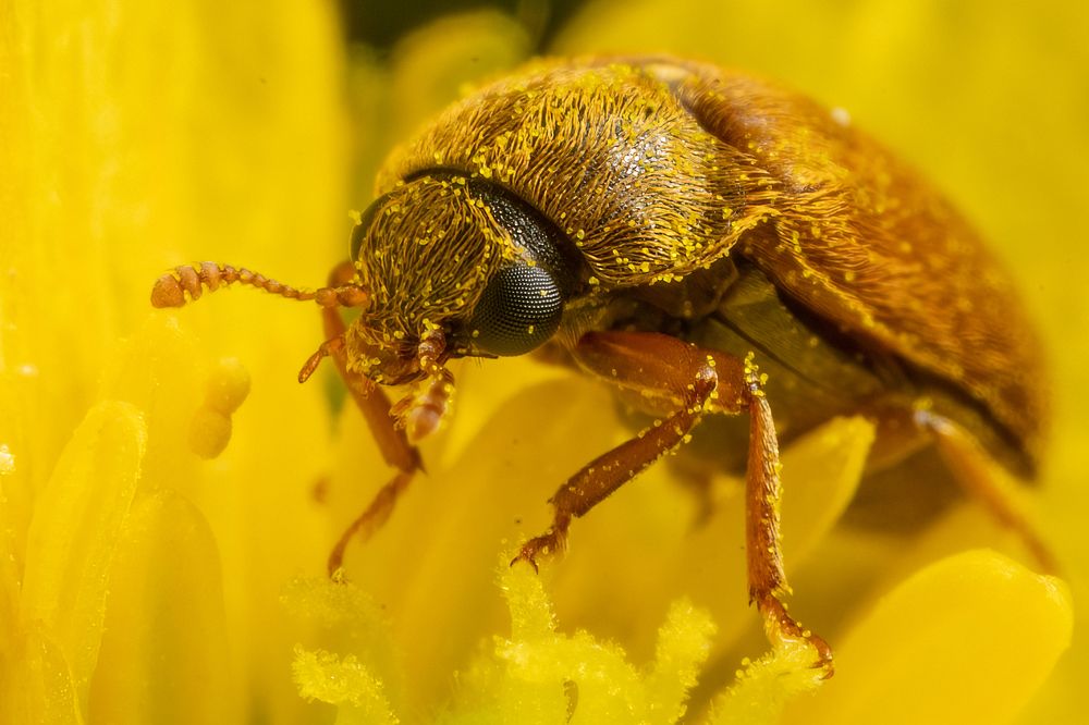 Фотография автора Ruslan Badykov