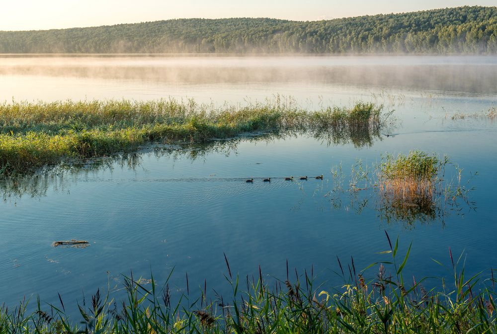 Photograph by Виктор Садырин