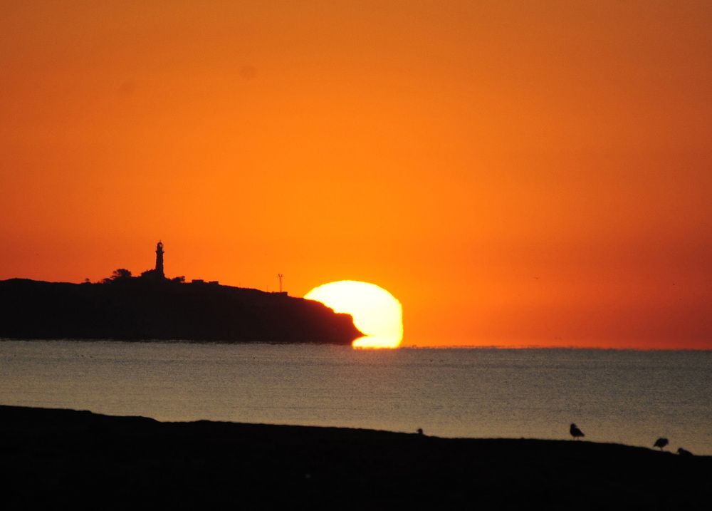 Photograph by Евгений Самулев