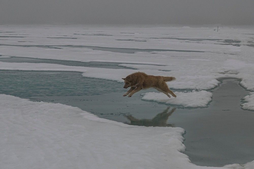 Photograph by Алексей Логинов