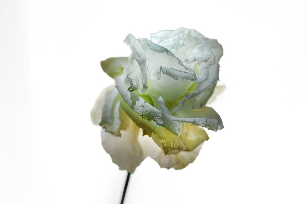 Photograph by Инесса Абрамова