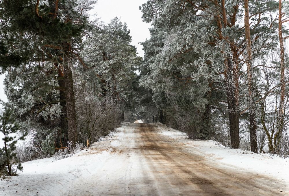 Фотография автора Александр Буренко