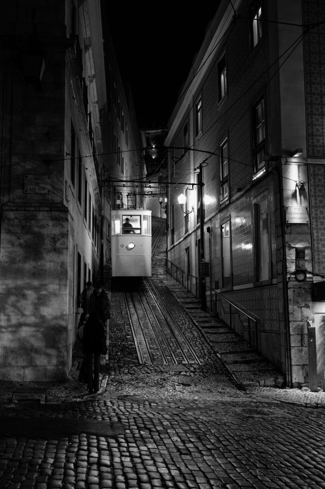 Photograph by Mário C.