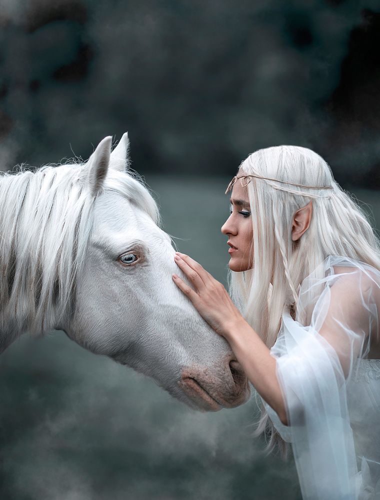 Photograph by Shahriyar Matin