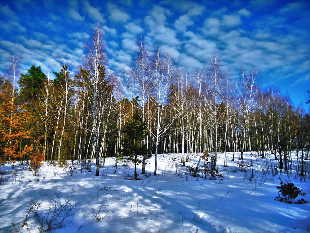 Photograph by Владимир Подкуйко