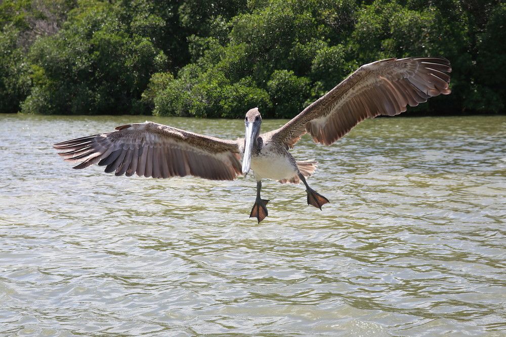 Photograph by Dagmar Vopolková