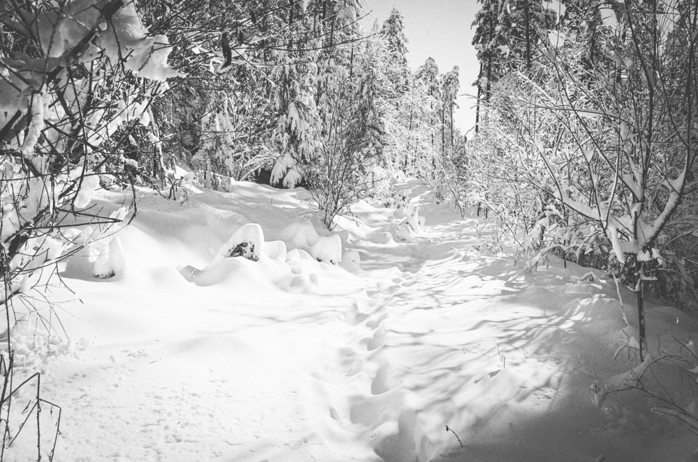 Photograph by Daniel Chobanov