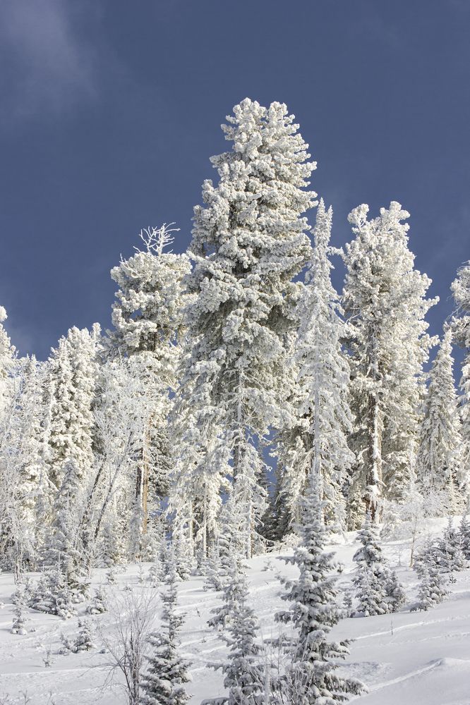 Photograph by Елена Павлова