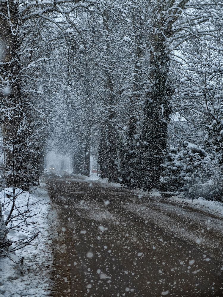 Photograph by Muzaffer Sütlüoğlu
