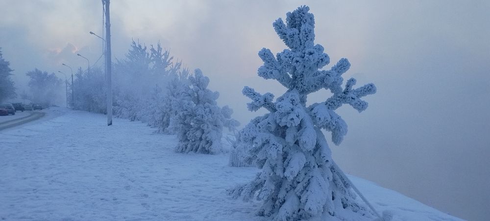 Photograph by Ирина Корнева