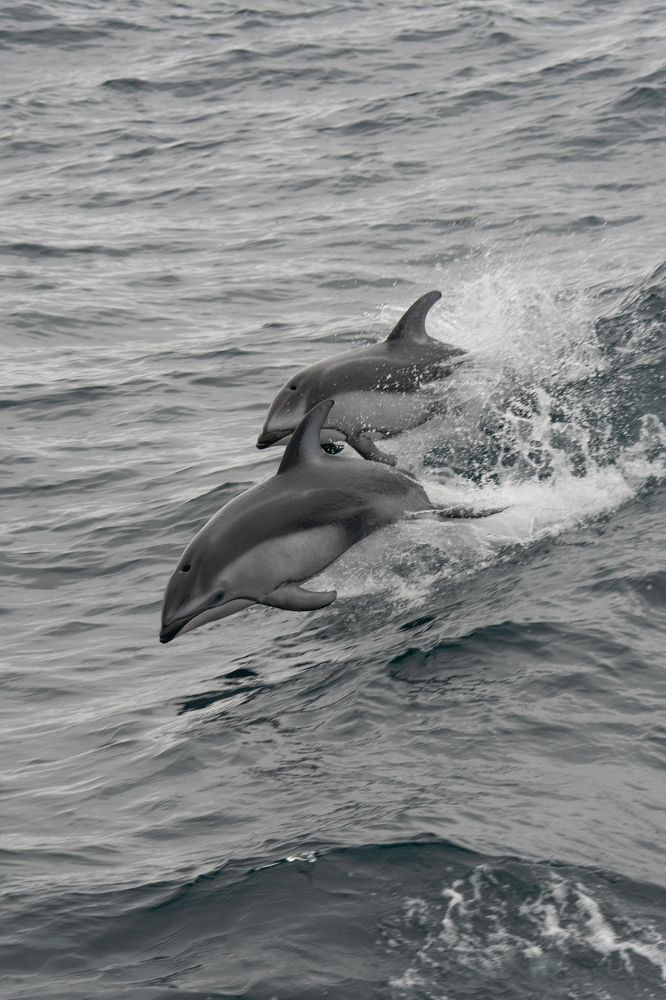 Photograph by Гусаров Андрей