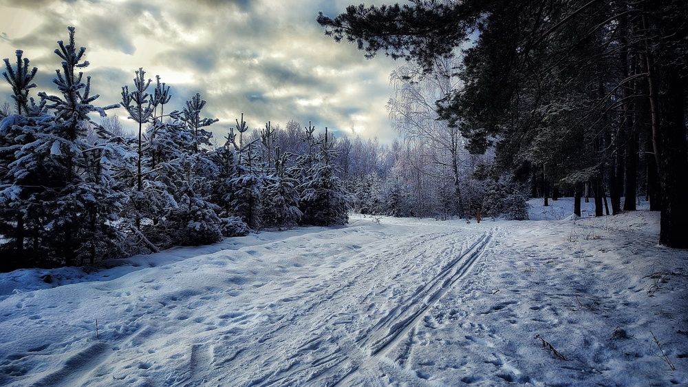 Photograph by Евгений Белов