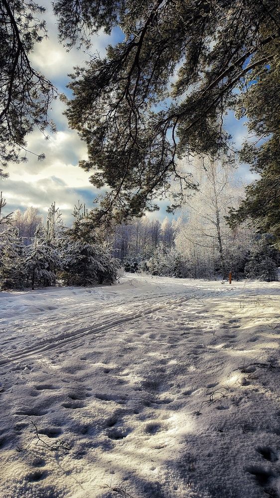 Photograph by Евгений Белов