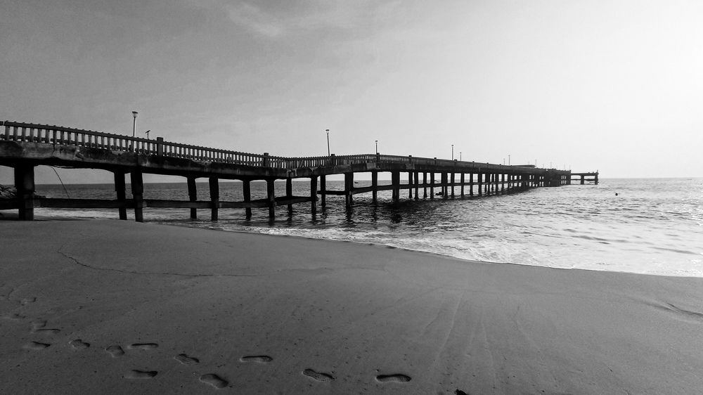 Photo #10042279
