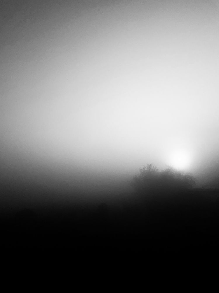 Photograph by shivani joshi