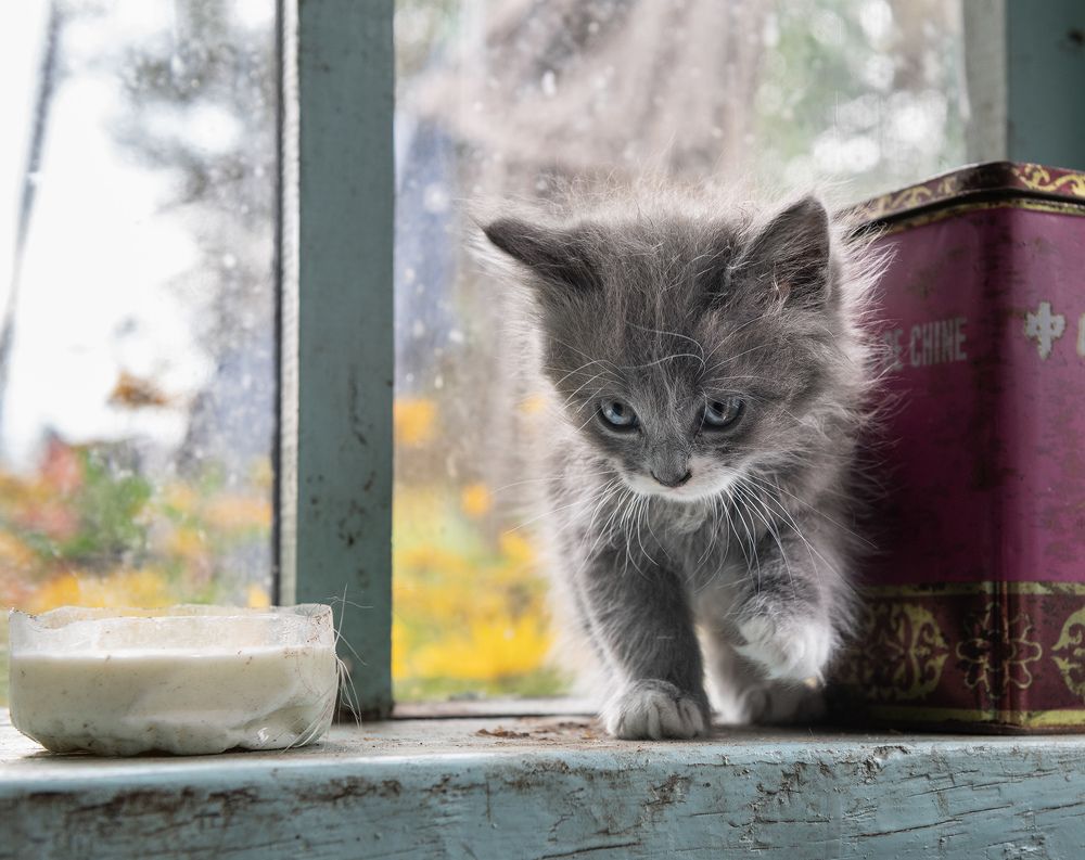 Photograph by Артём Гладченко