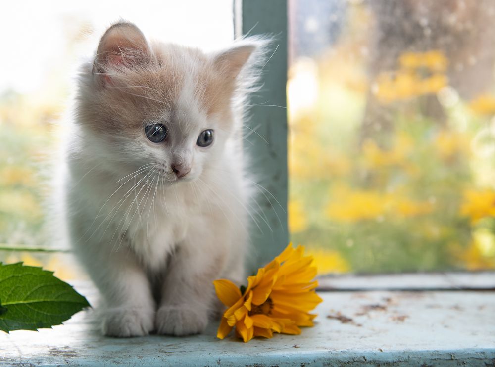 Photograph by Артём Гладченко