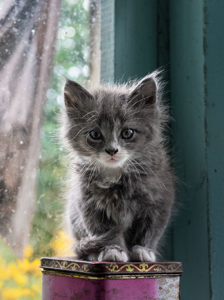 Photograph by Артём Гладченко