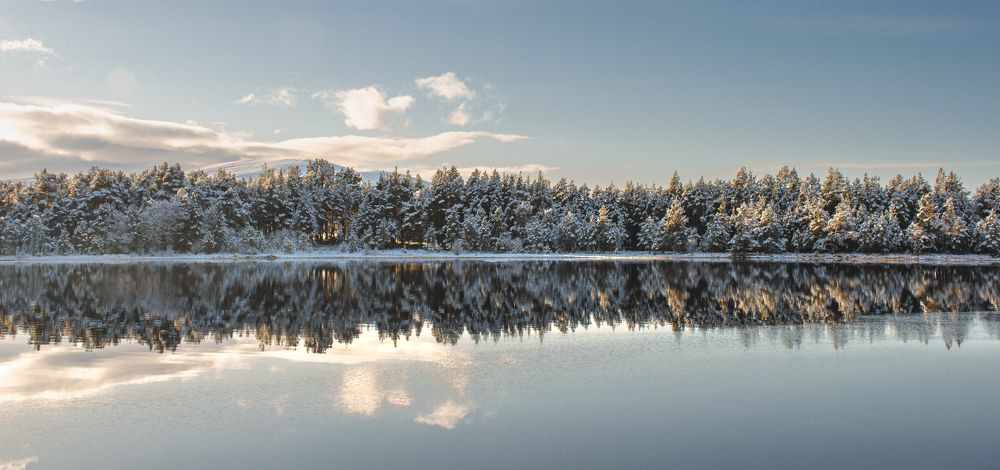 Photograph by Ángel Esteban