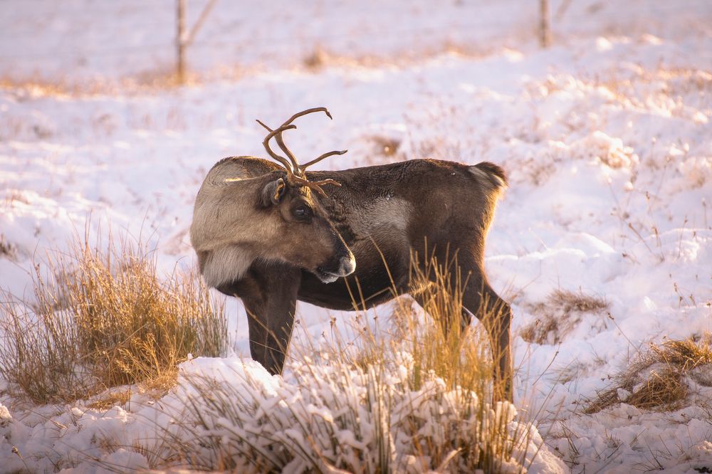 Photograph by Ángel Esteban