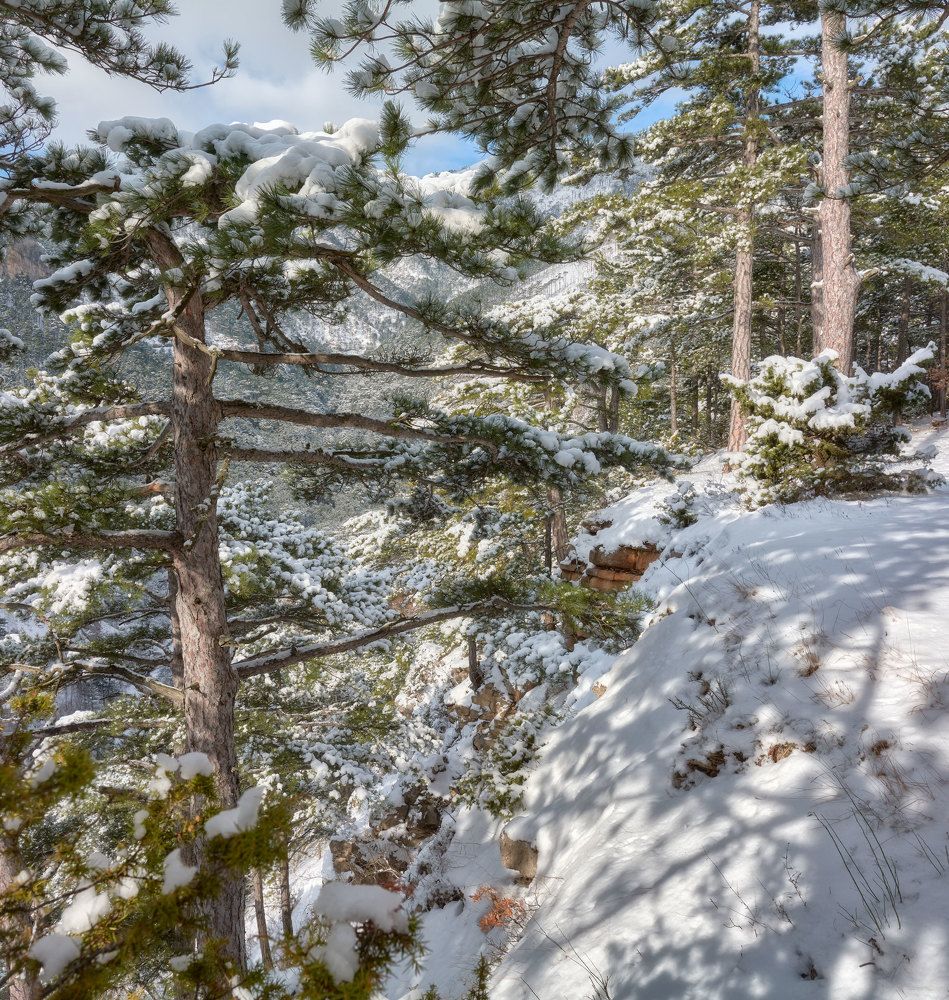 Photograph by Андрей Прищепин