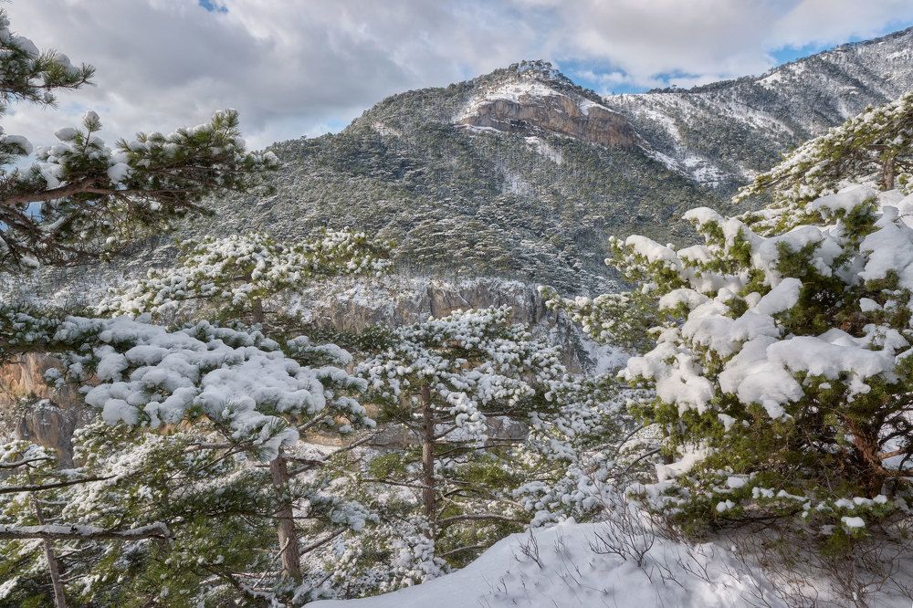 Photograph by Андрей Прищепин