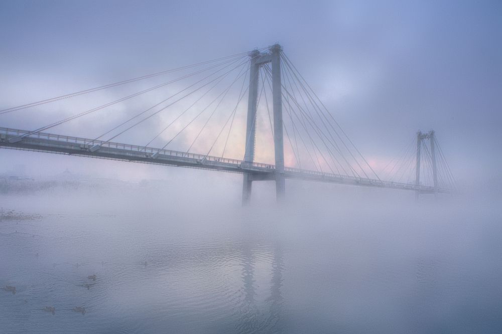 Photograph by Александр Пургин