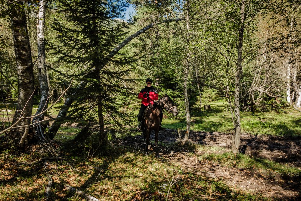 Photograph by Игорь Сидун