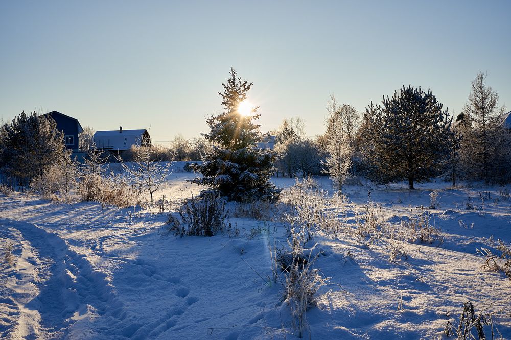 Photograph by Александр Максимов