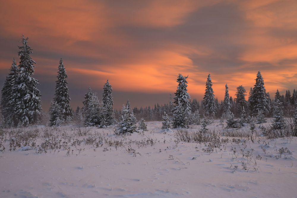 Фотография автора Юрий Кетель