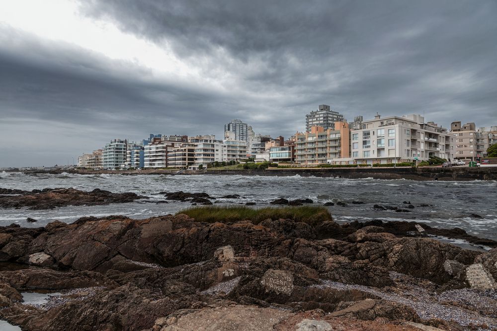 Фотография автора Diego G. Brancaccio Goldas