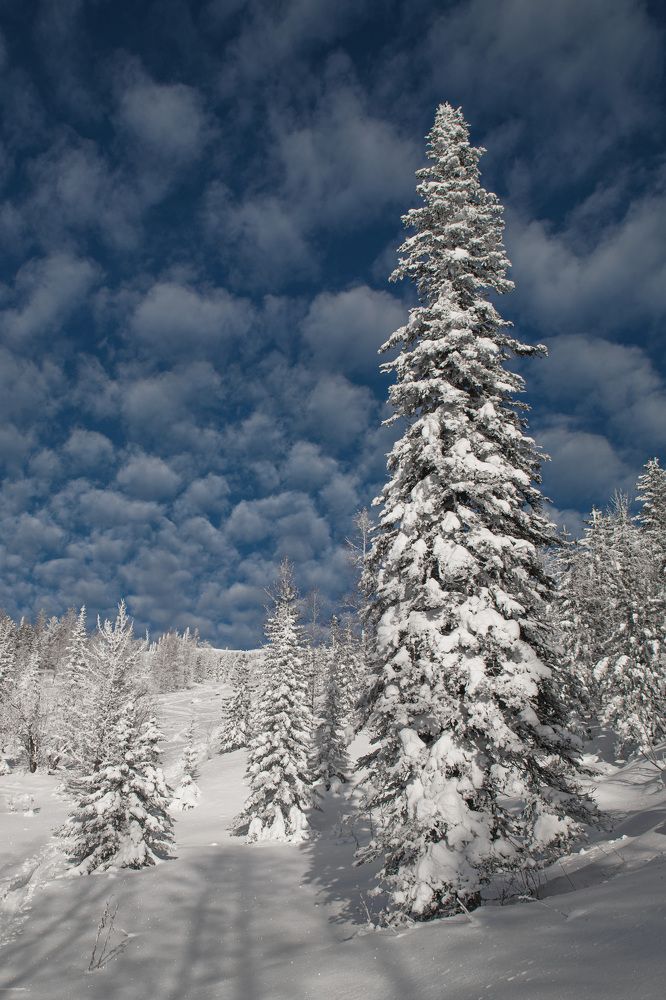 Photograph by Светлана Андреева