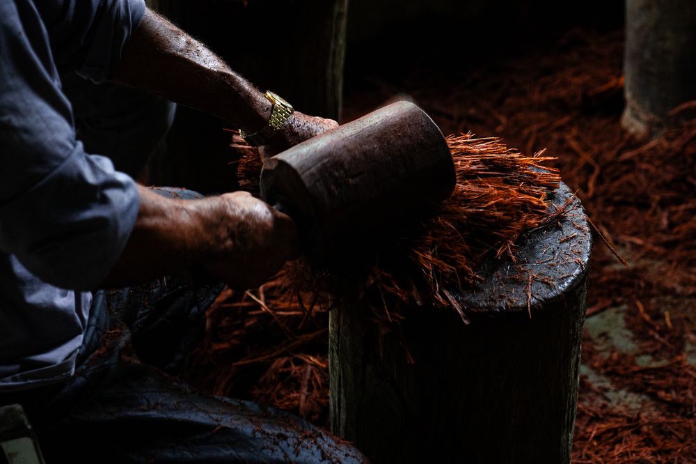 Photograph by manuel de la rua