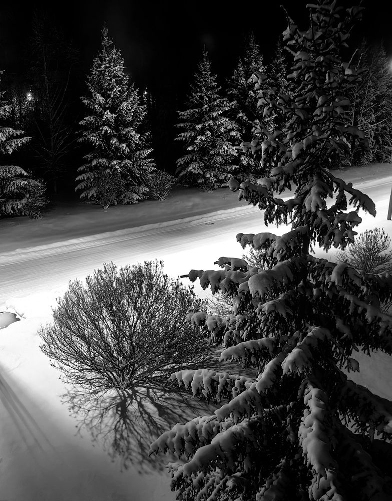 Photograph by Alexandr