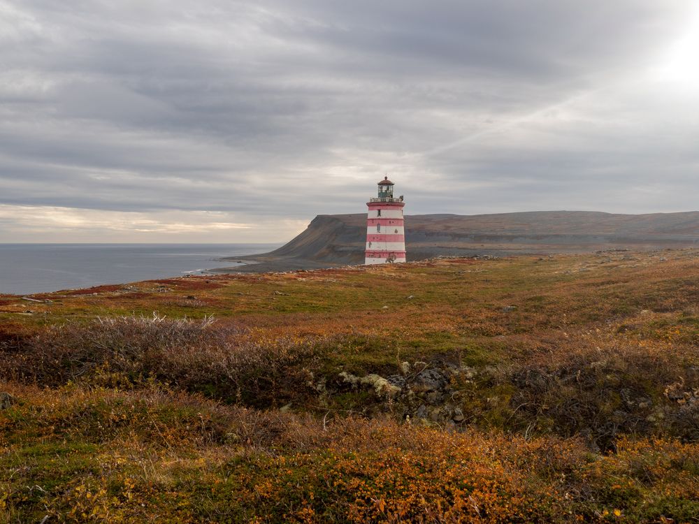 Photograph by Шейко Анна