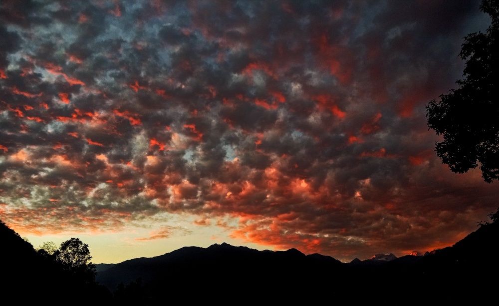 Photo #10042859