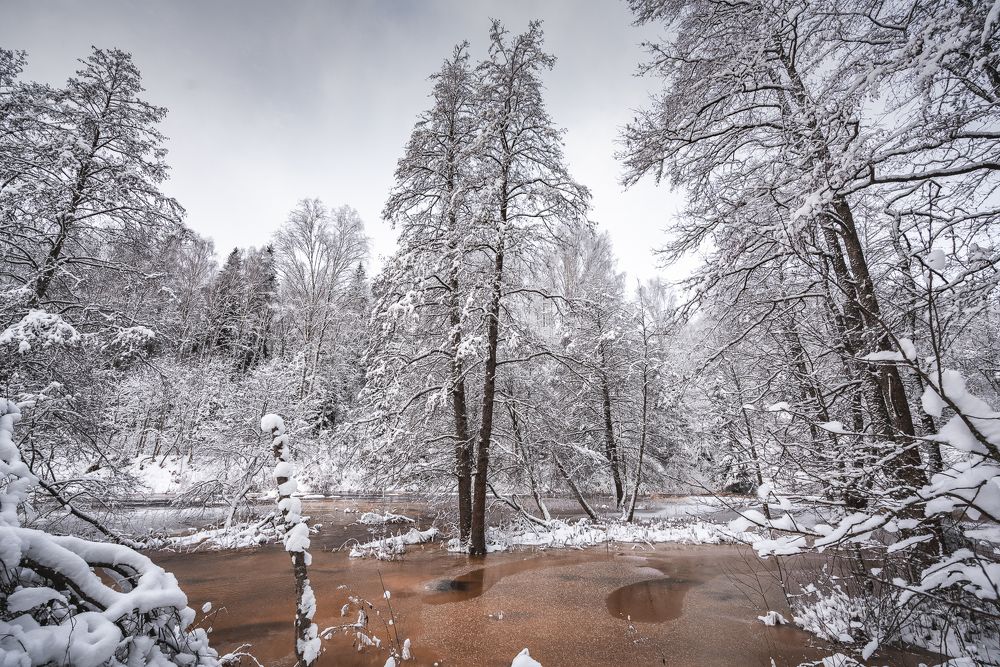 Photograph by Roman Vislobokov