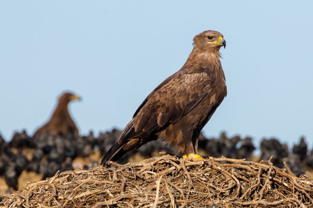 Photograph by Алексей Данилкин