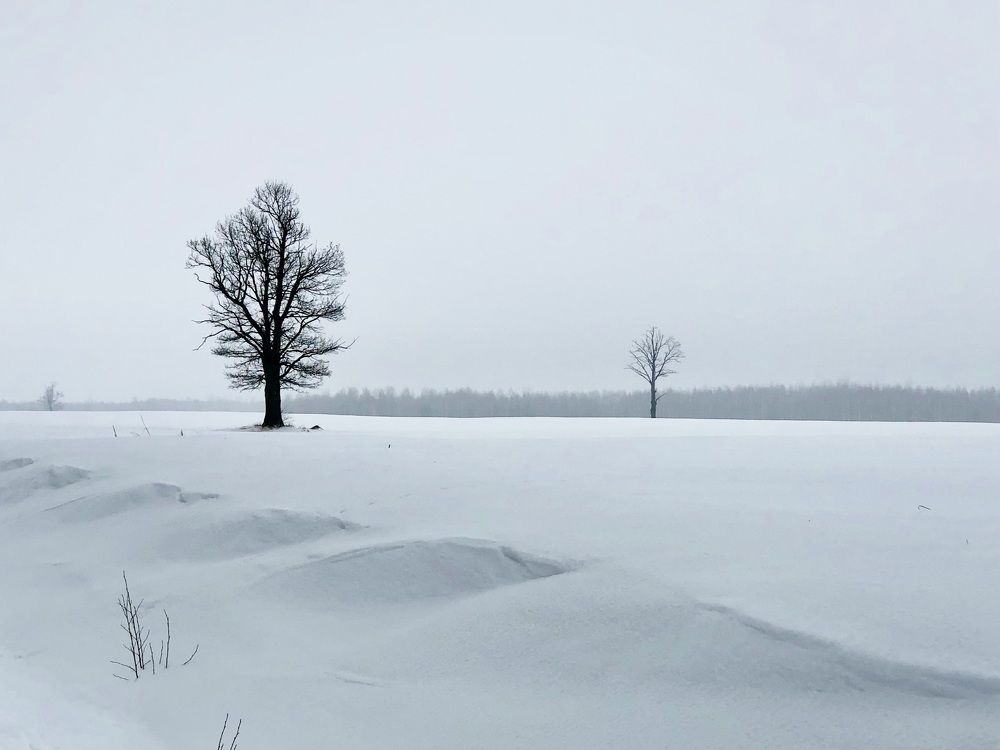 Photograph by Halina Mitsevich