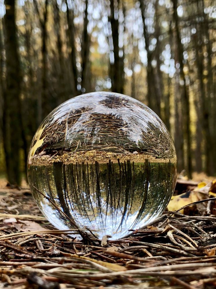 Photograph by Halina Mitsevich