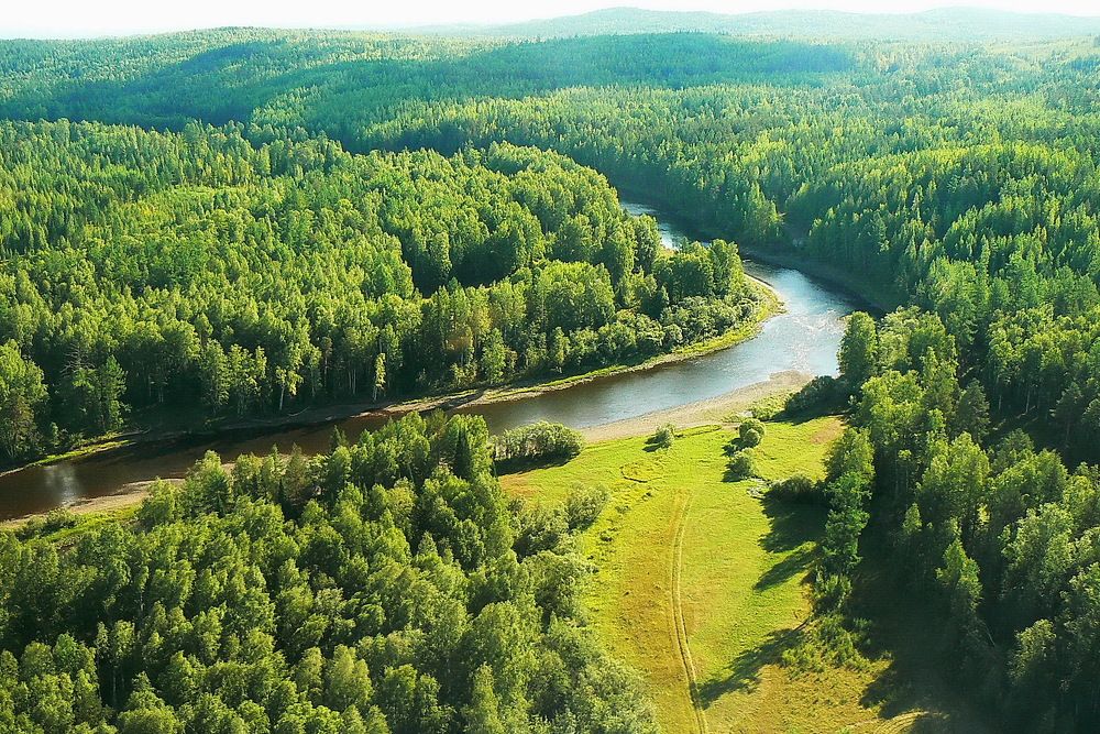 Photograph by Сергей Петров