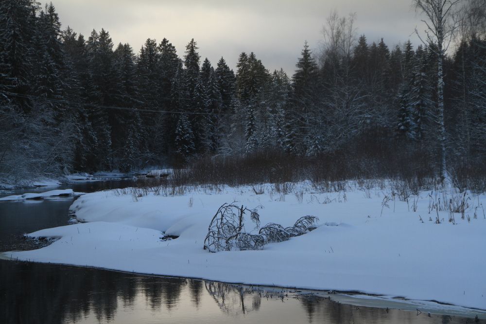 Фотография автора Анастасия Зверева